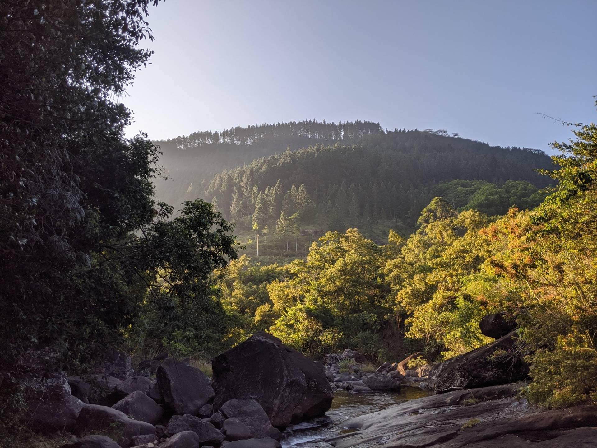 Eden Falls rocky stream at golden hour